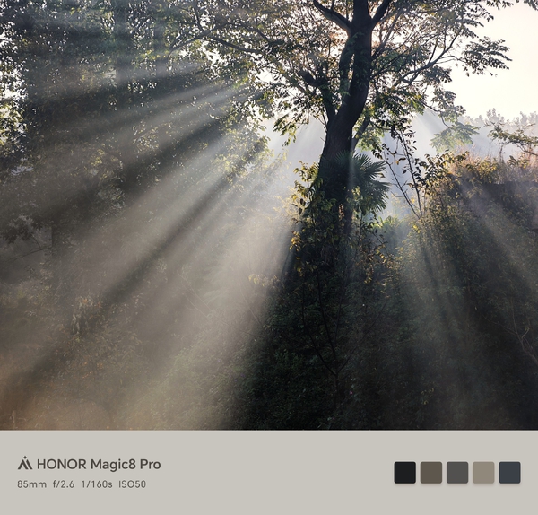 《雾中箭》,爱摄影-荣耀俱乐部