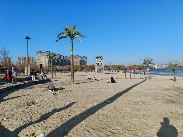 冬日暖阳,荣耀80系列-荣耀俱乐部