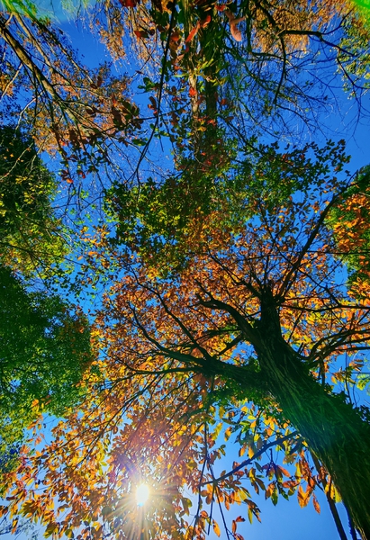 光影交错,爱摄影-荣耀俱乐部