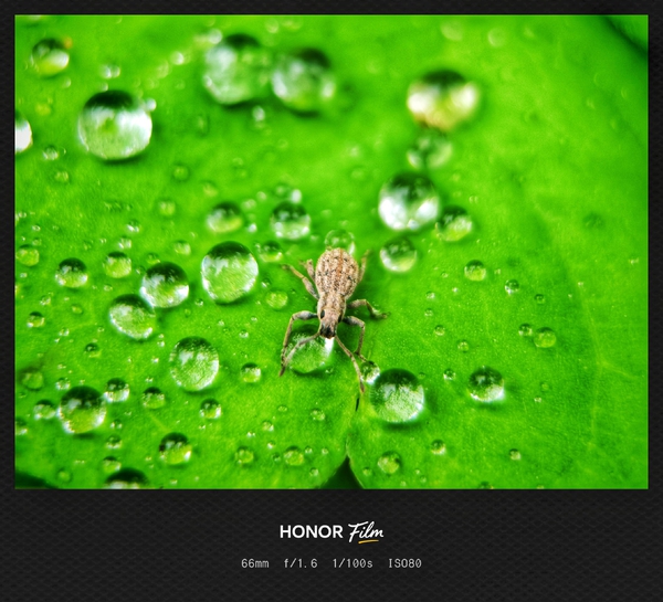 来一口水珠,爱摄影-荣耀俱乐部