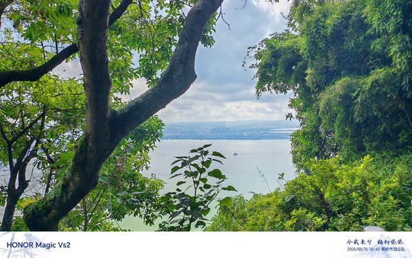 大海绿树,爱摄影-荣耀俱乐部