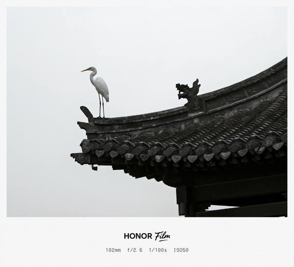古檐栖鹭,爱摄影-荣耀俱乐部