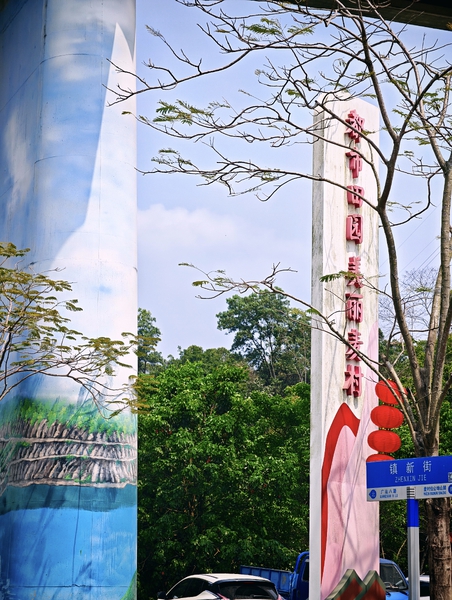 美丽乡村,荣耀Magic8系列-荣耀俱乐部