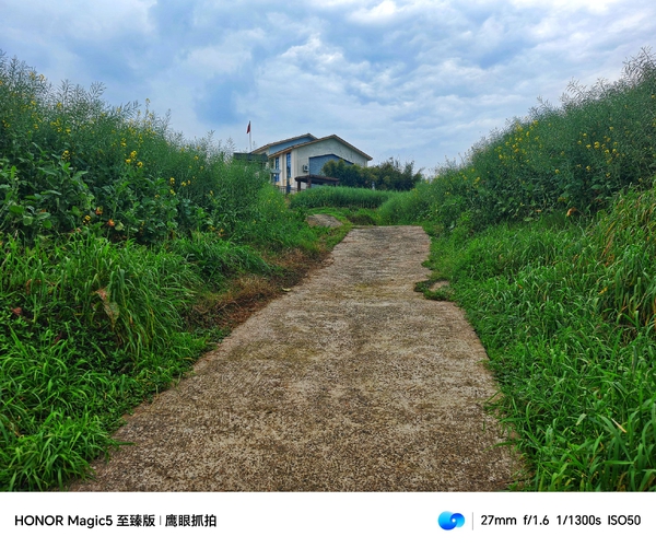 乡村路上风景,爱摄影-荣耀俱乐部