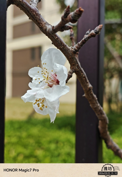 3月更新的相机虚化效果怎么样？,爱摄影-荣耀俱乐部