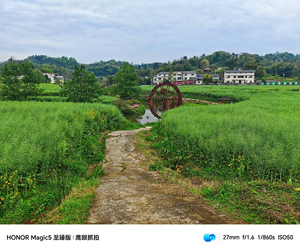 乡村田野风光,爱摄影-荣耀俱乐部
