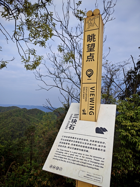 南山～三块石,荣耀500系列-荣耀俱乐部