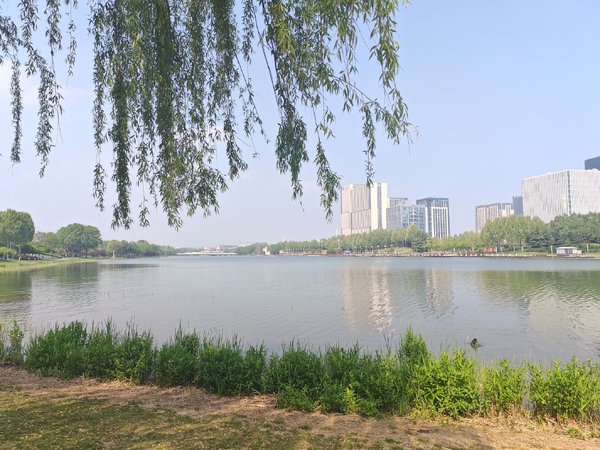 湖边逛一逛,荣耀Magic5系列-荣耀俱乐部