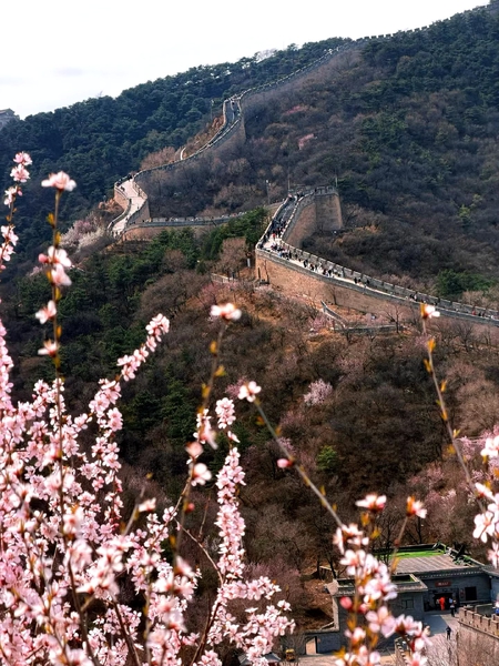 远赴京城,爱旅行-荣耀俱乐部