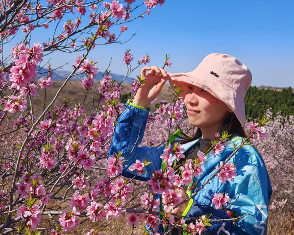 解锁春天的颜色,爱摄影-荣耀俱乐部