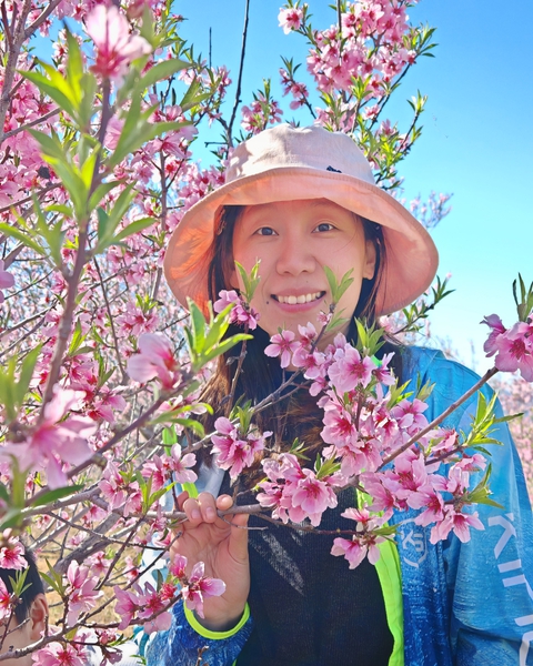 解锁春天的颜色,爱摄影-荣耀俱乐部
