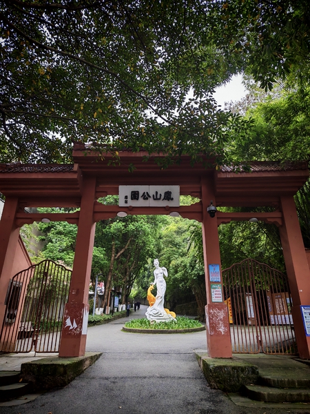 公园晨跑,荣耀500系列-荣耀俱乐部