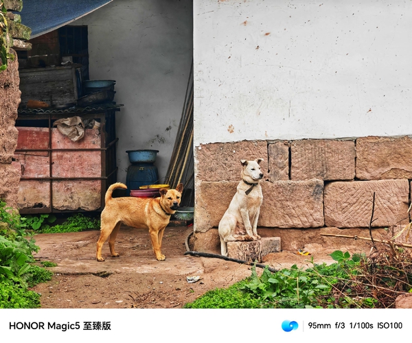 农家小院守护,爱摄影-荣耀俱乐部