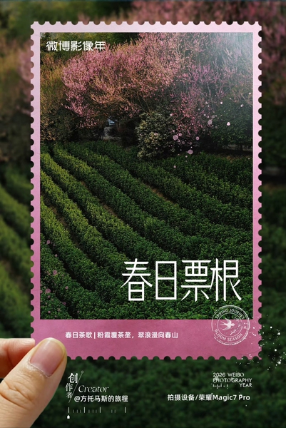 转发｜微博影像年「春日票根」荣耀篇～请查收,爱摄影-荣耀俱乐部
