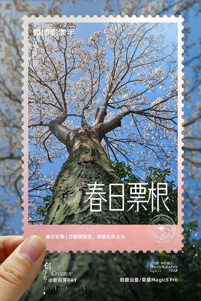 转发｜微博影像年「春日票根」荣耀篇～请查收,爱摄影-荣耀俱乐部