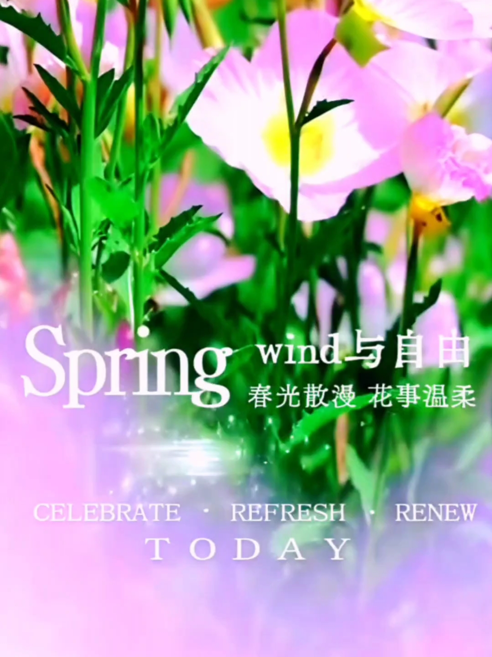 【你好春天】春光散漫,爱摄影-荣耀俱乐部