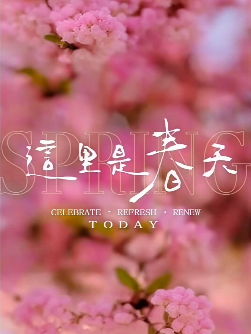 【你好春天】这里是春天,爱摄影-荣耀俱乐部