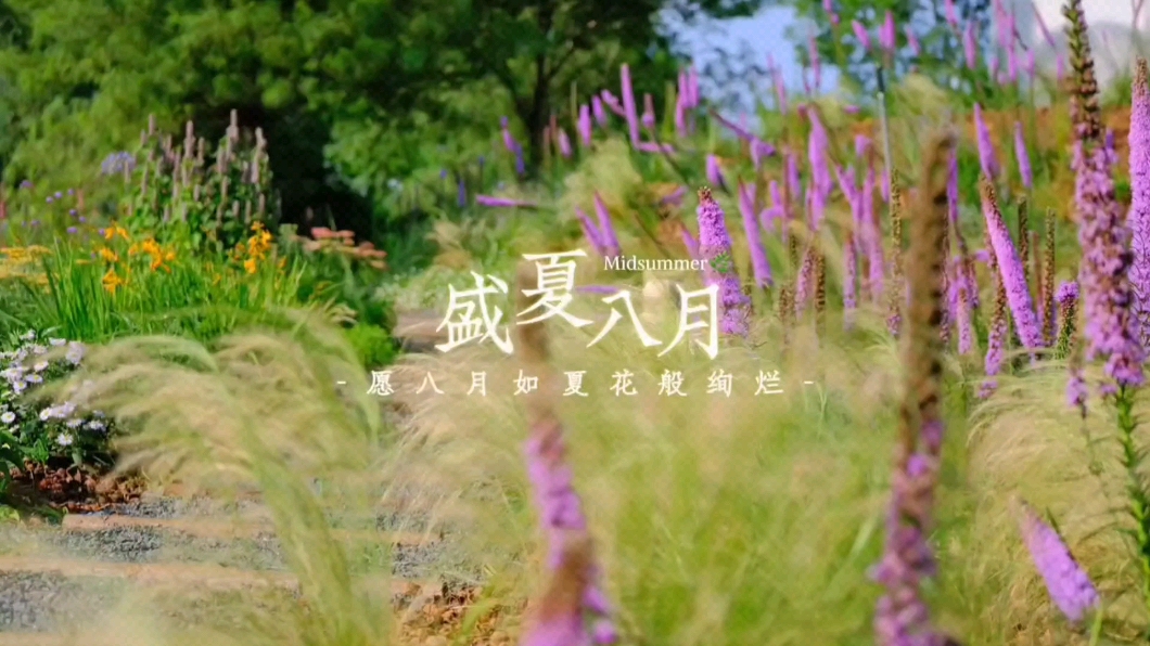 【七月已随风】八月愿安好,爱摄影-荣耀俱乐部
