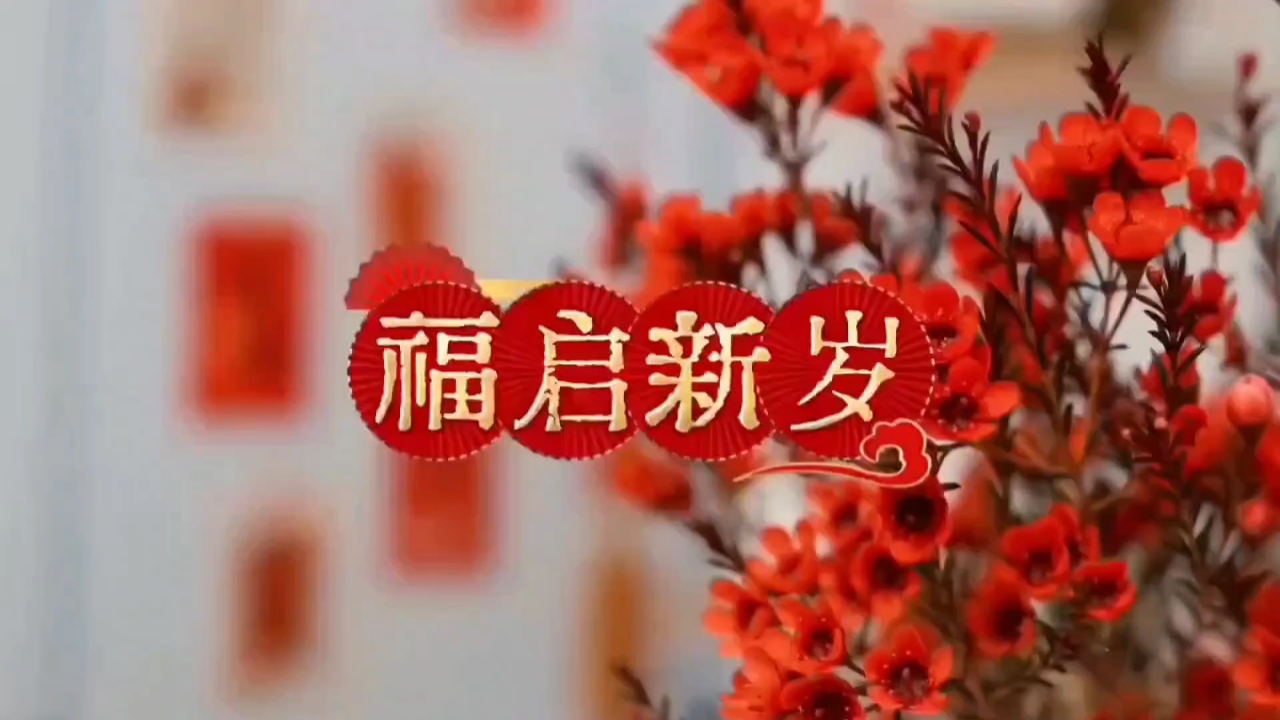 【福启新岁】愿你活得精彩,爱摄影-荣耀俱乐部