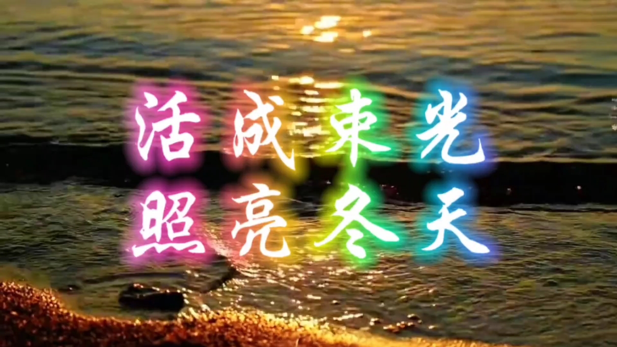 【你好冬天】活成一束光,爱摄影-荣耀俱乐部