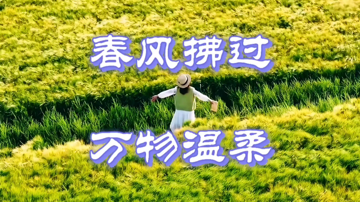 【你好春天】和春天撞个满怀,爱摄影-荣耀俱乐部