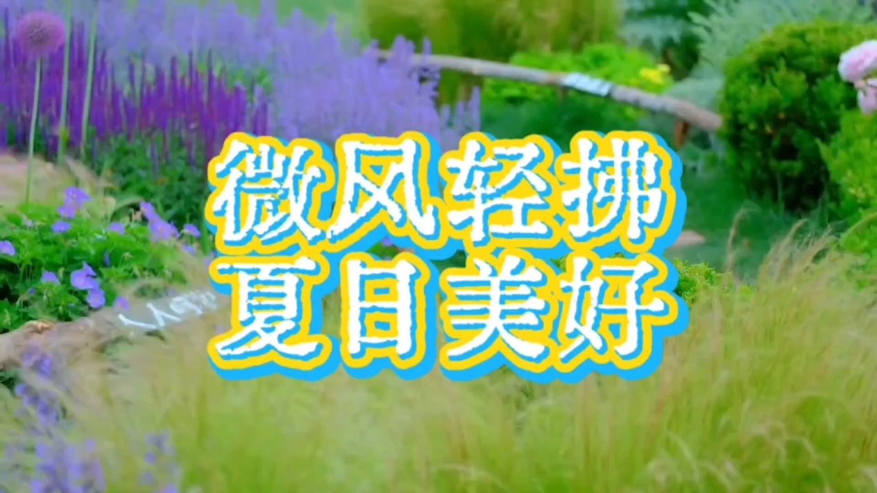 【你好夏天】微风轻拂,爱摄影-荣耀俱乐部