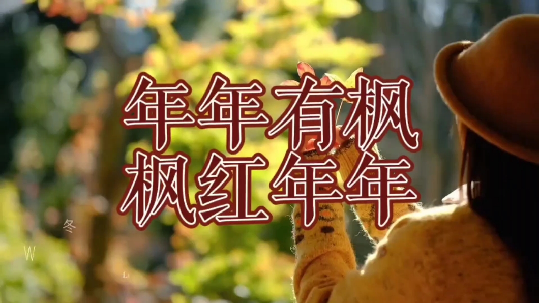 【你好冬天】枫红年年,爱摄影-荣耀俱乐部