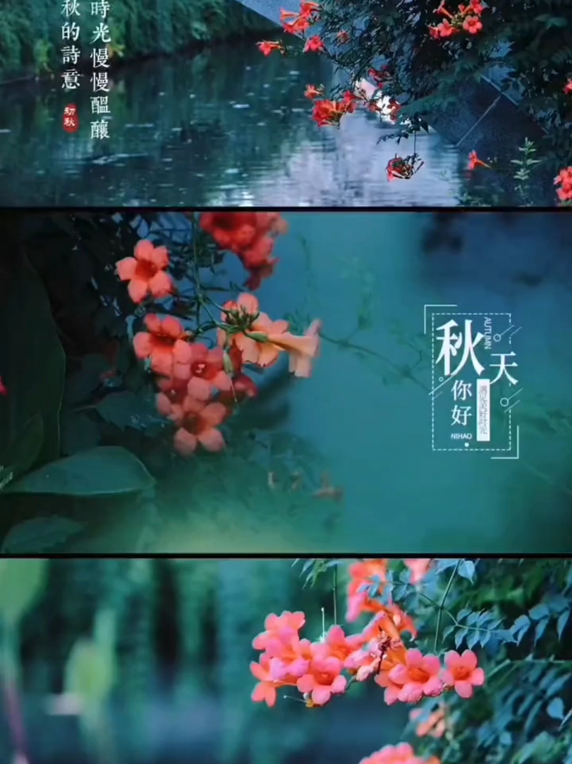 【你好秋天】秋日诗意,爱摄影-荣耀俱乐部
