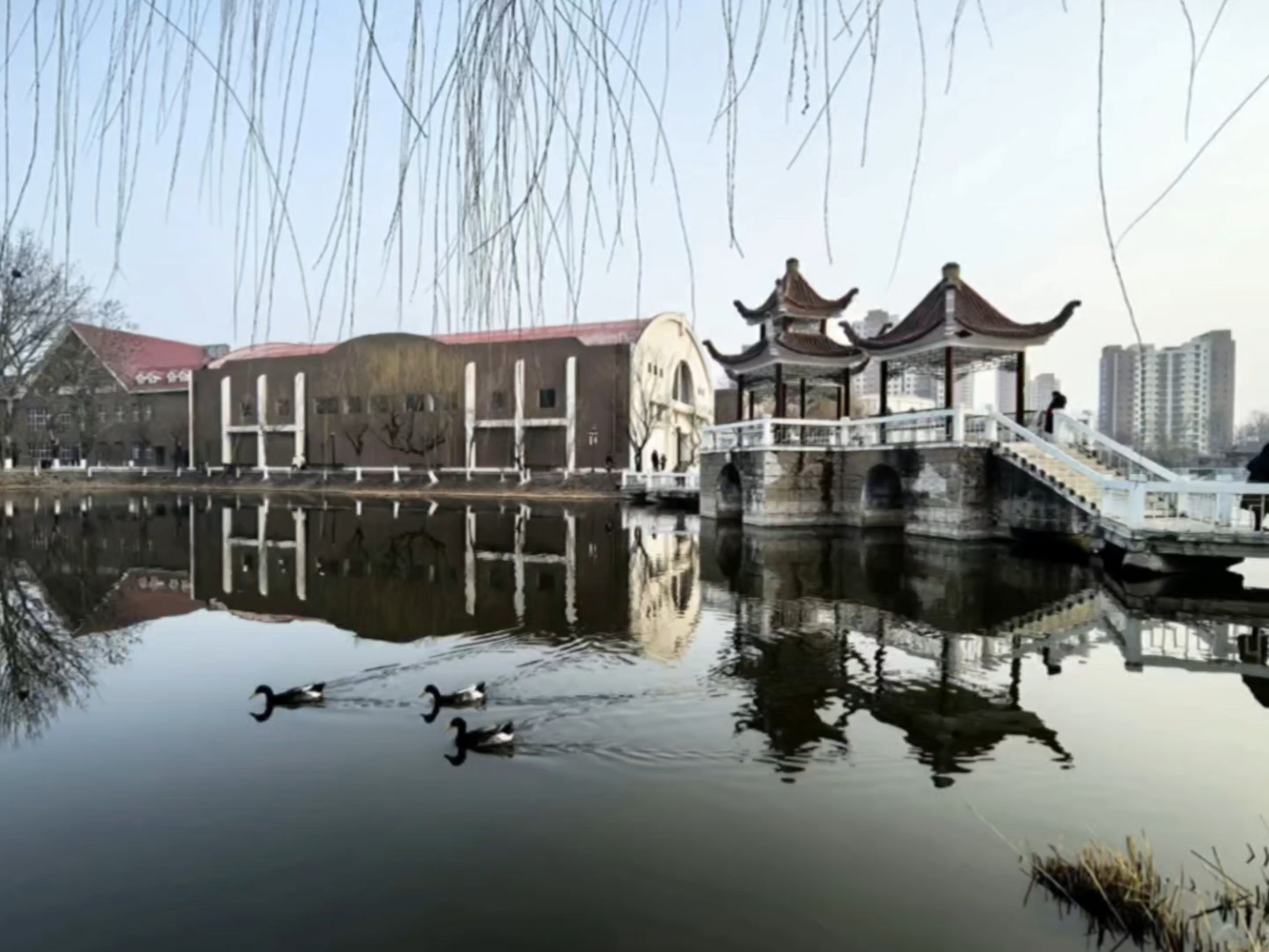 你好！春天，来玩要啦,爱旅行-荣耀俱乐部