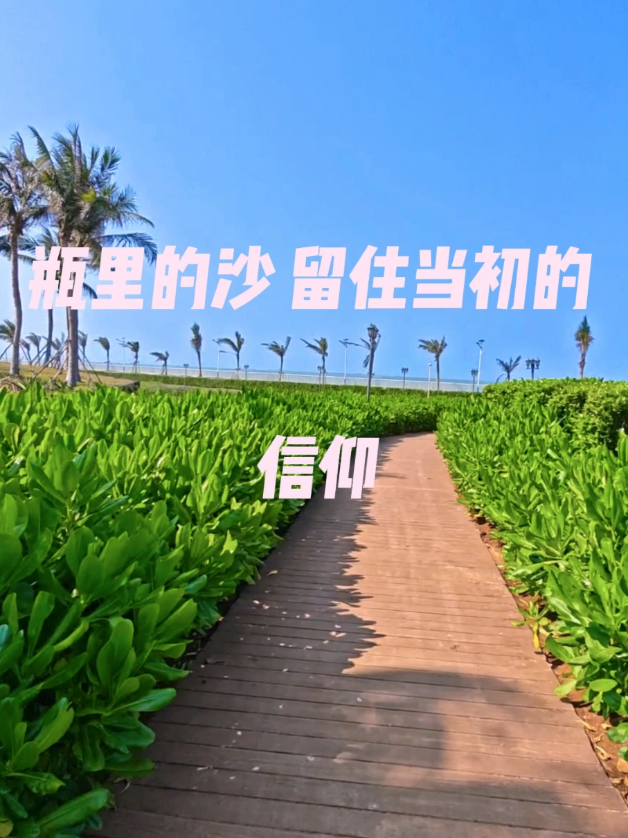 你的影子被日落拉长  思念在很远的地方,荣耀Magic8系列-荣耀俱乐部