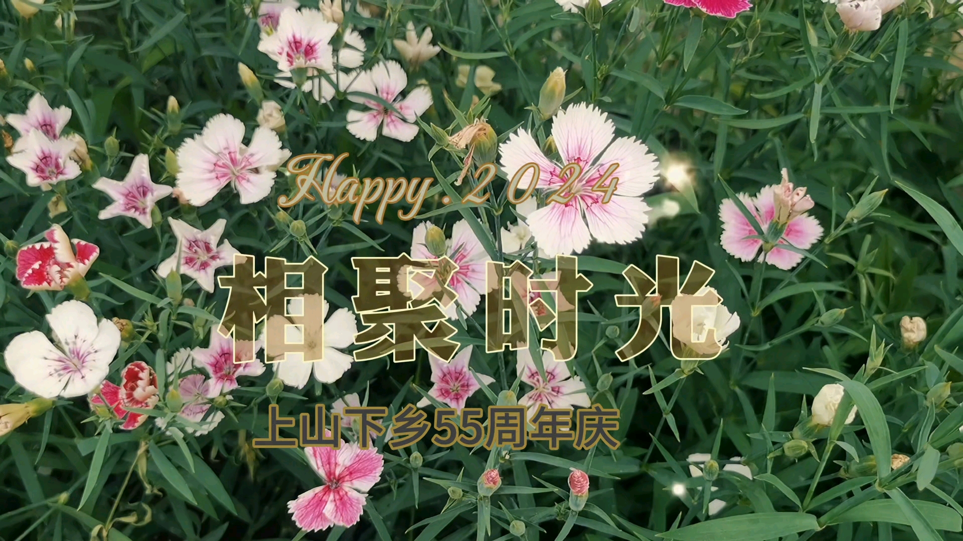 感恩有你又相聚，下乡55周年庆,慢生活-荣耀俱乐部