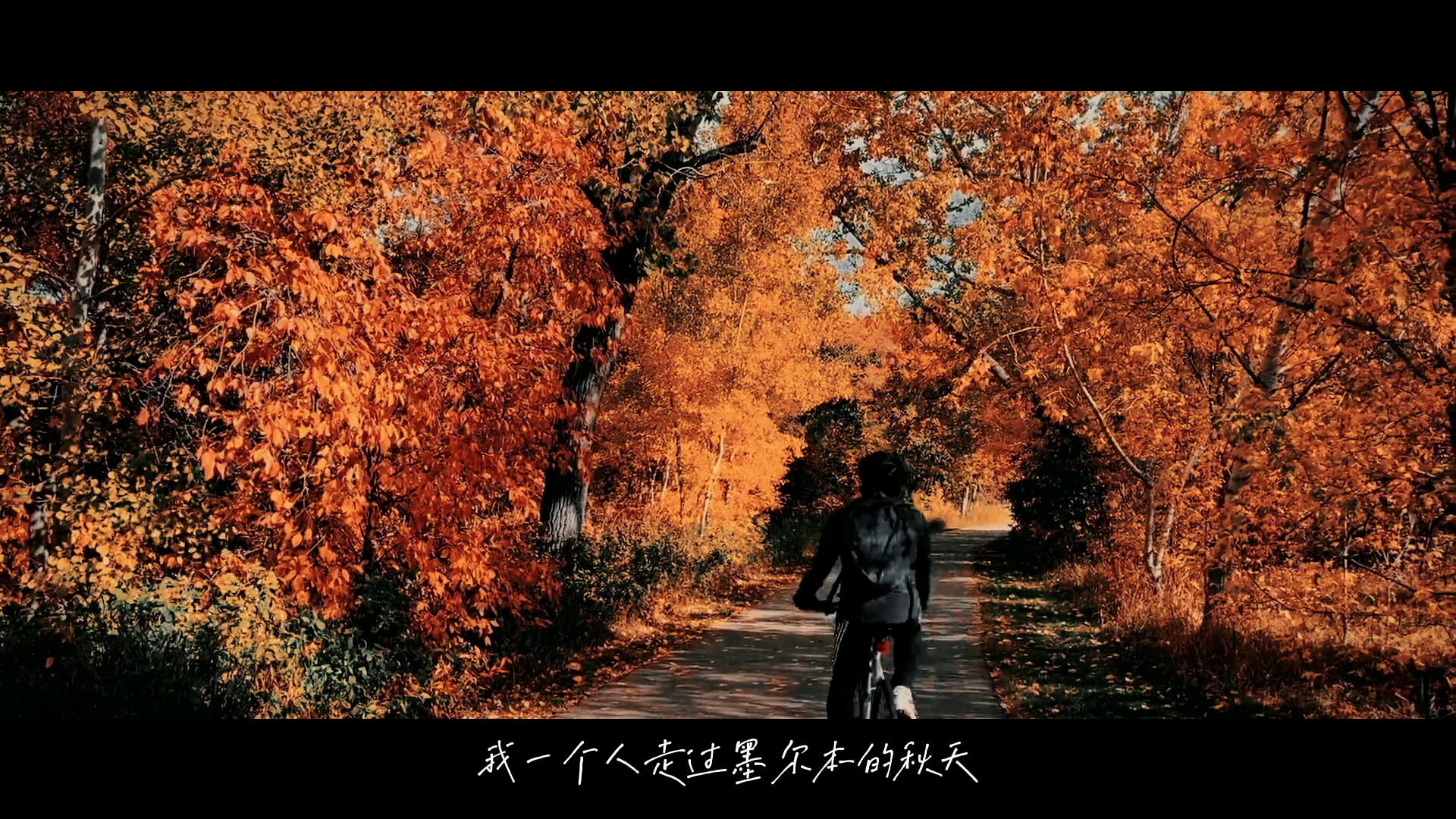 秋天,爱摄影-荣耀俱乐部