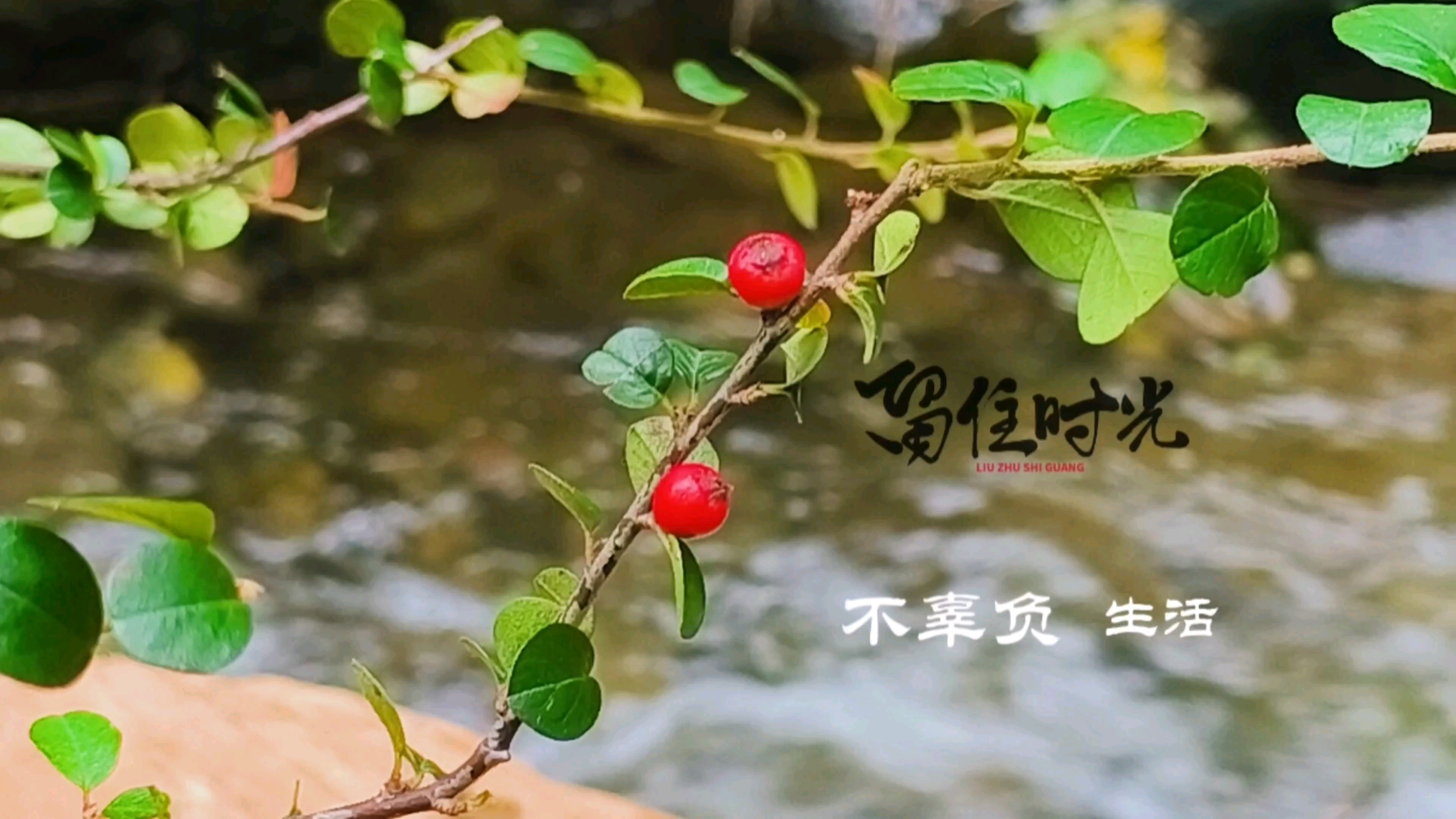 留住时光,爱摄影-荣耀俱乐部