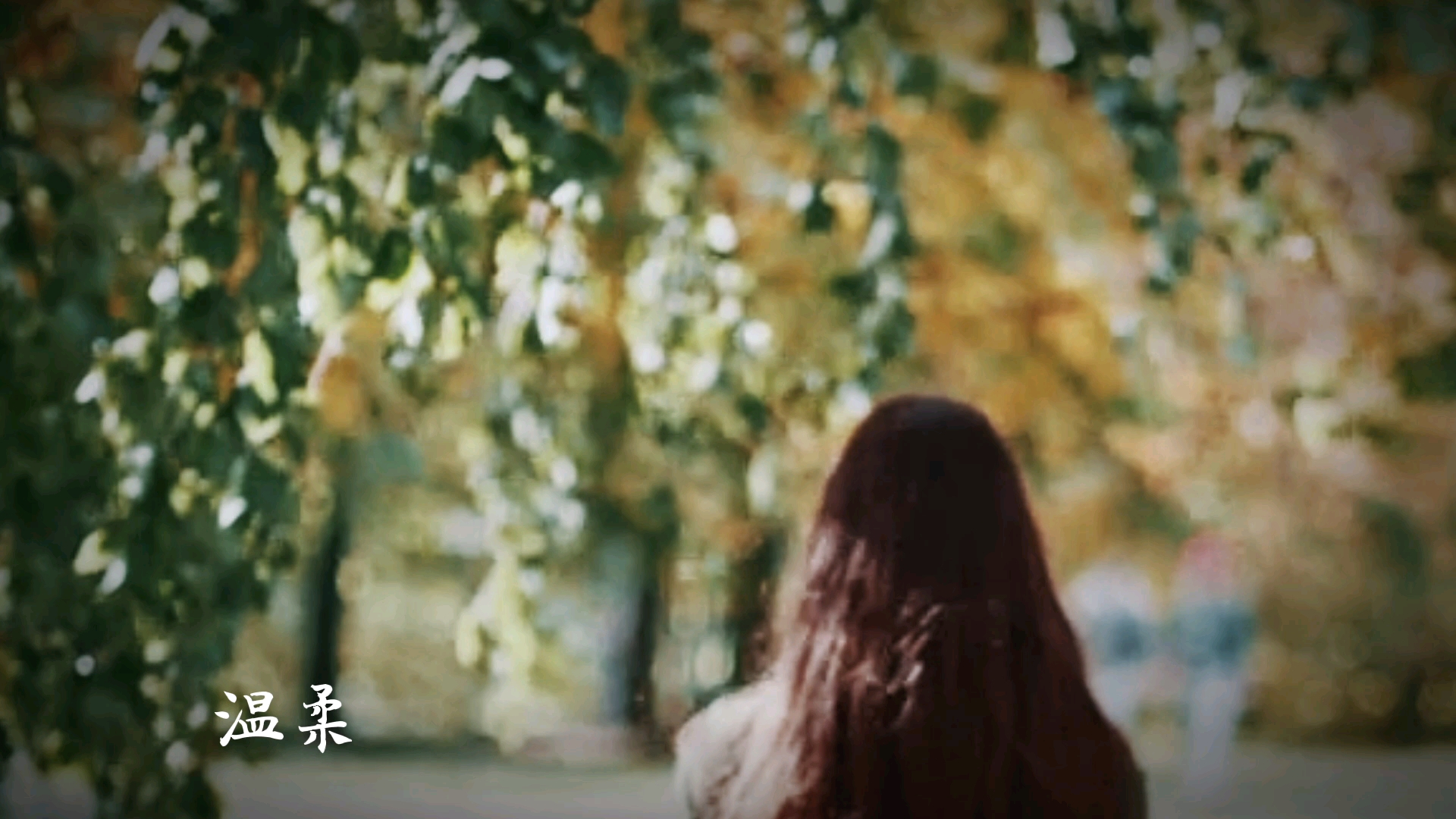 往事春秋，度回忆！,爱摄影-荣耀俱乐部