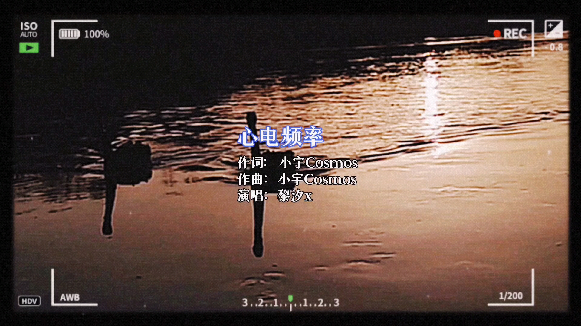 黑天鹅的早晨,荣耀Magic5系列-荣耀俱乐部