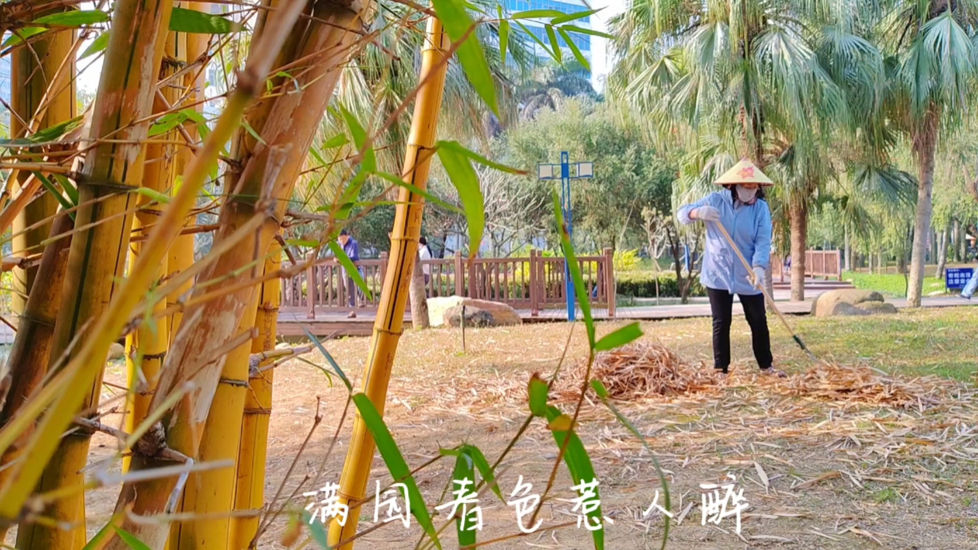 满园春色惹人醉,爱摄影-荣耀俱乐部