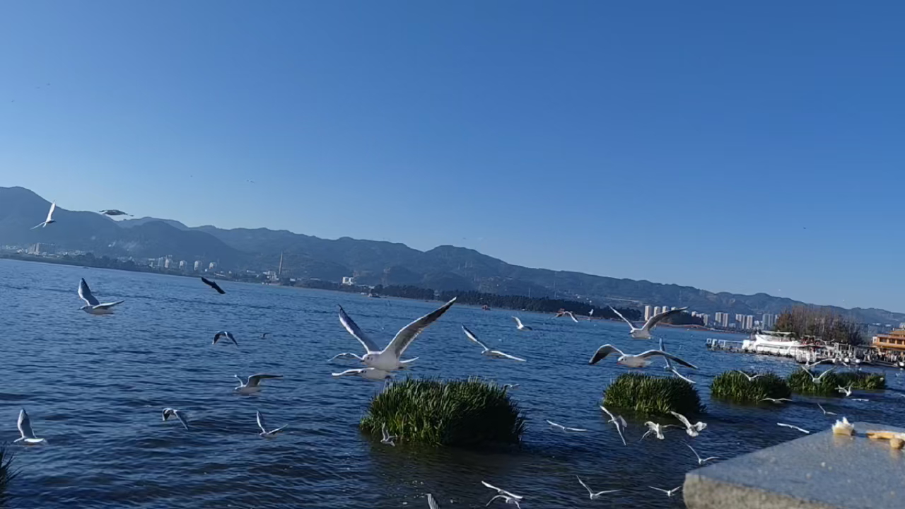 滇池海埂大坝随拍,爱旅行-荣耀俱乐部