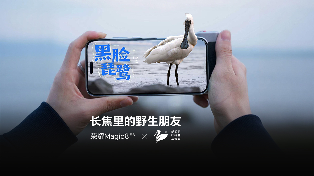 世界地球日 | 长焦里的野生朋友,荣耀Magic8系列-荣耀俱乐部