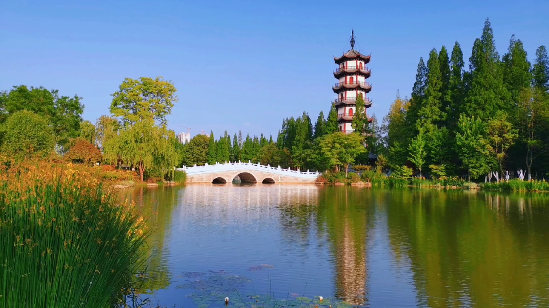 【荣耀90】夏风吟唱，时光攸攸……,荣耀90系列-荣耀俱乐部