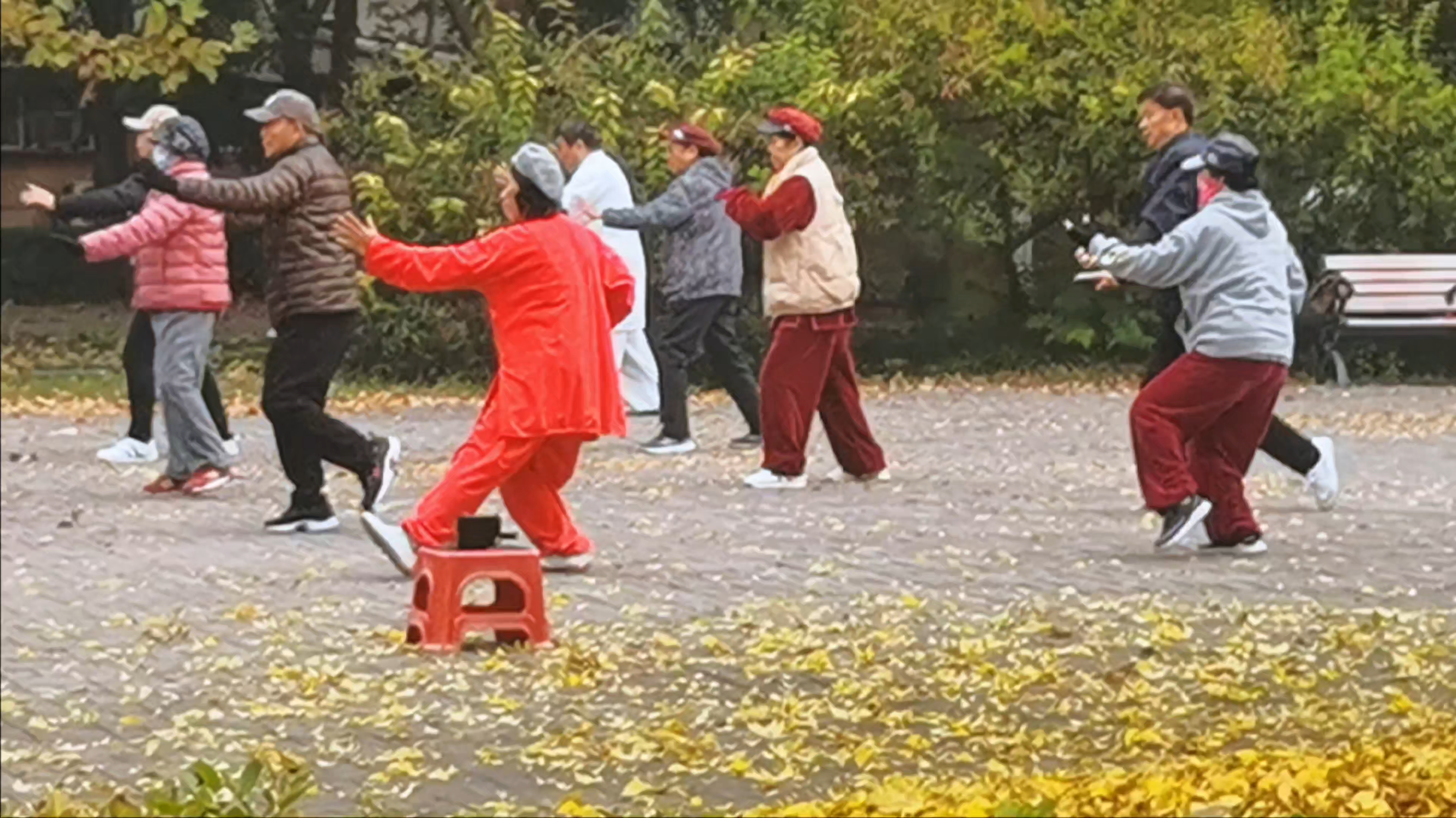 舞动初冬乐生活,慢生活-荣耀俱乐部