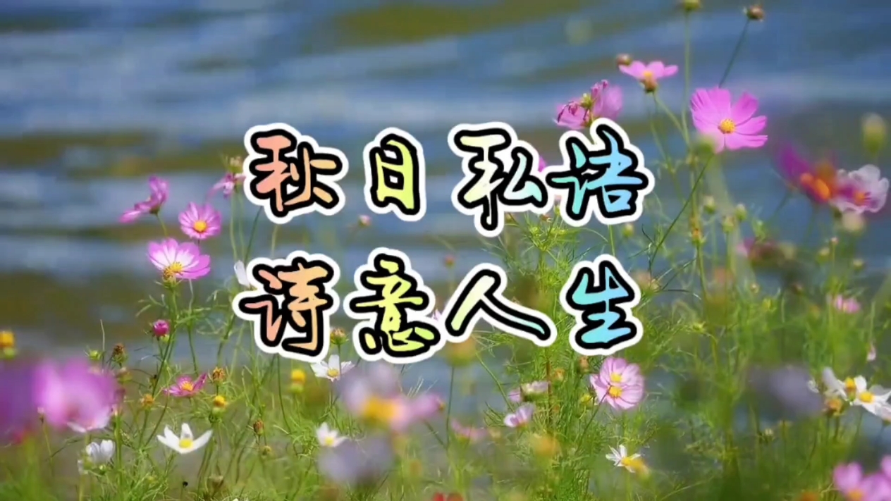 【你好秋天】秋日私语,爱摄影-荣耀俱乐部