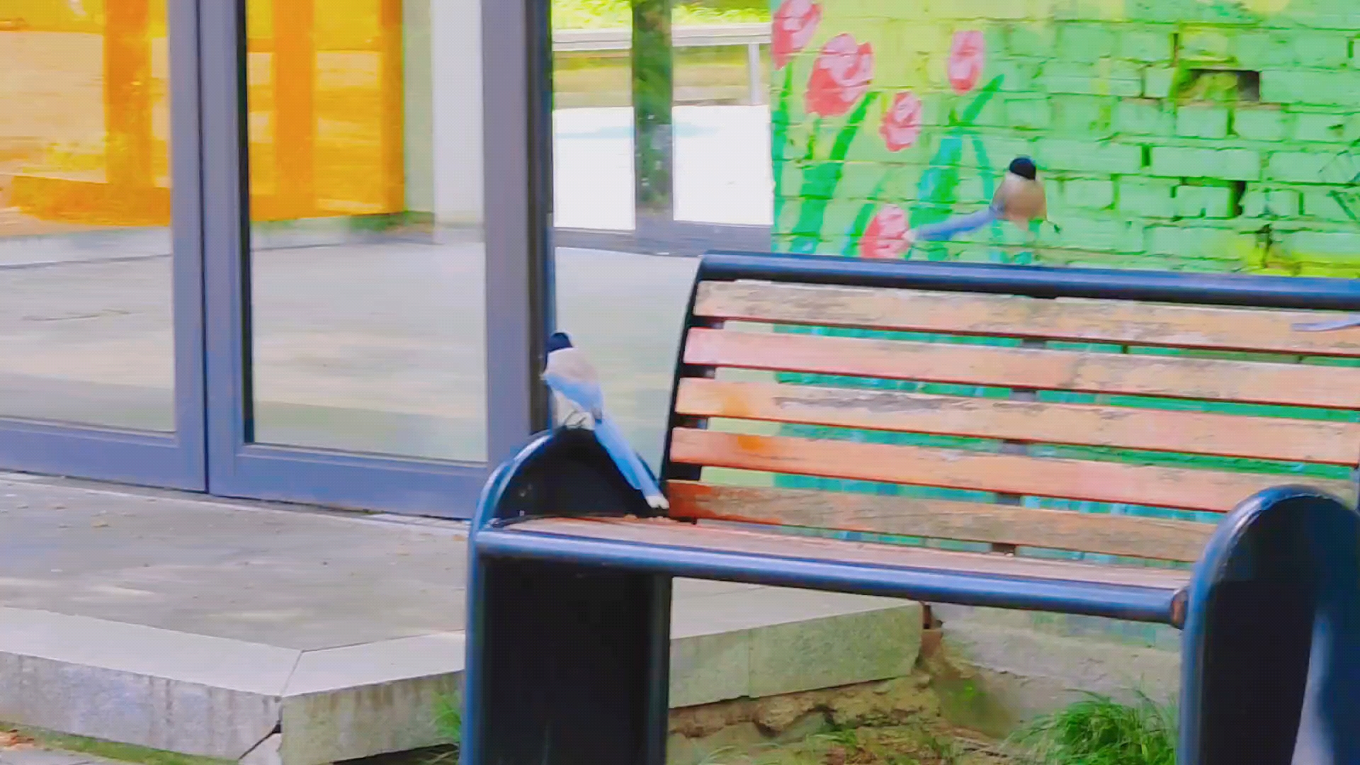 静享慢生活，万物皆可爱,爱摄影-荣耀俱乐部