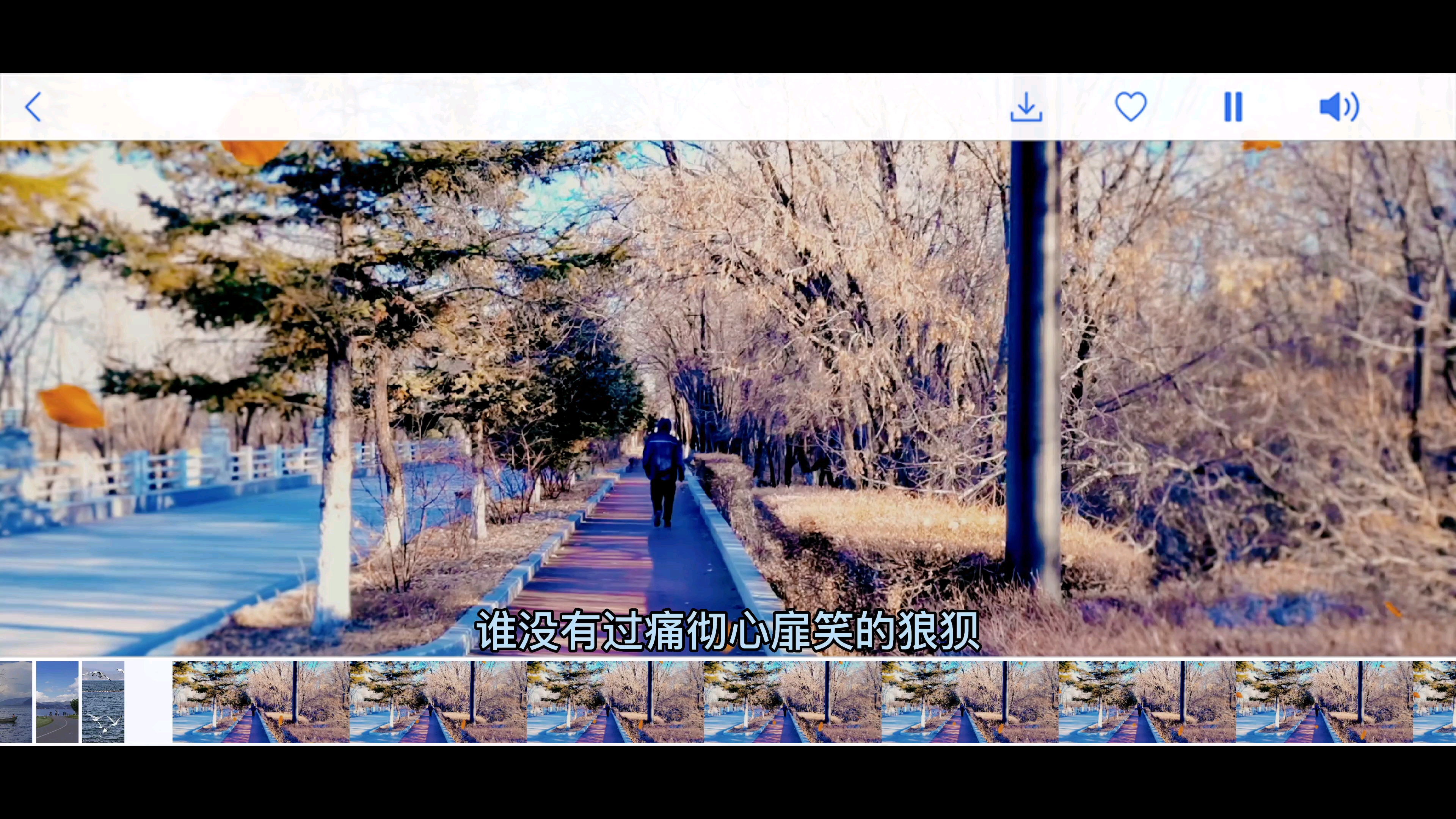 匆匆过往不知滋味,爱摄影-荣耀俱乐部