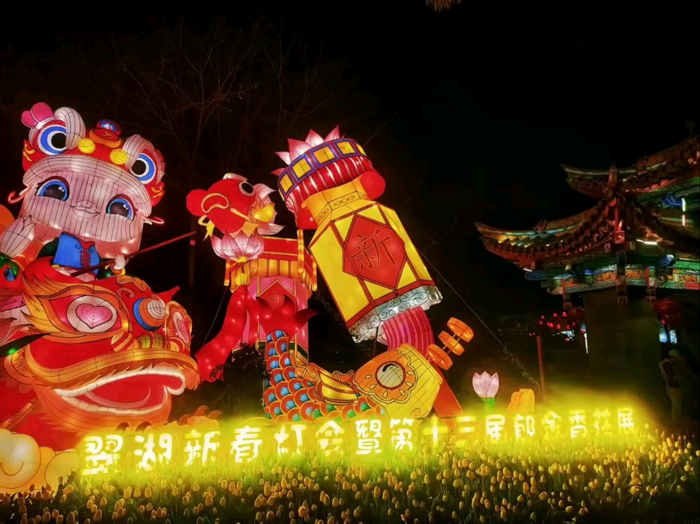 翠湖公园元宵灯会7,慢生活-荣耀俱乐部