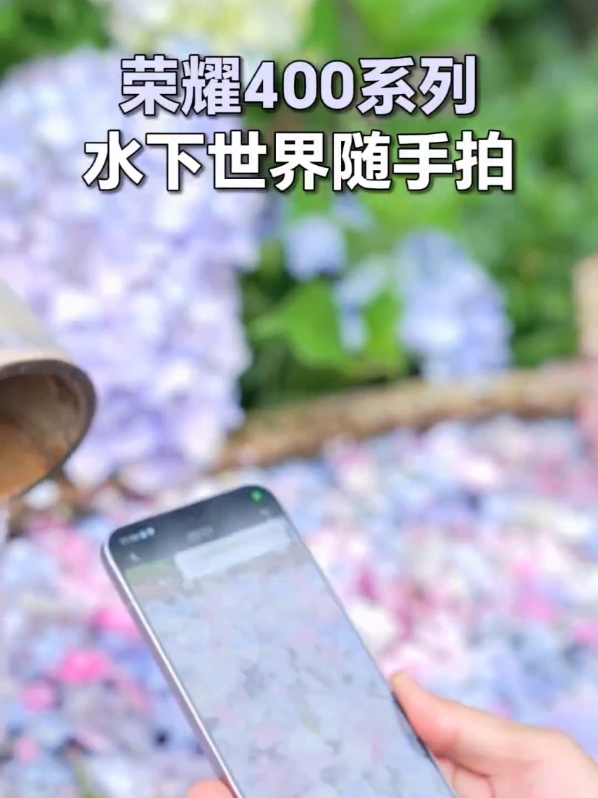 【荣耀400】系列”水下世界”随手拍……,荣耀400系列-荣耀俱乐部