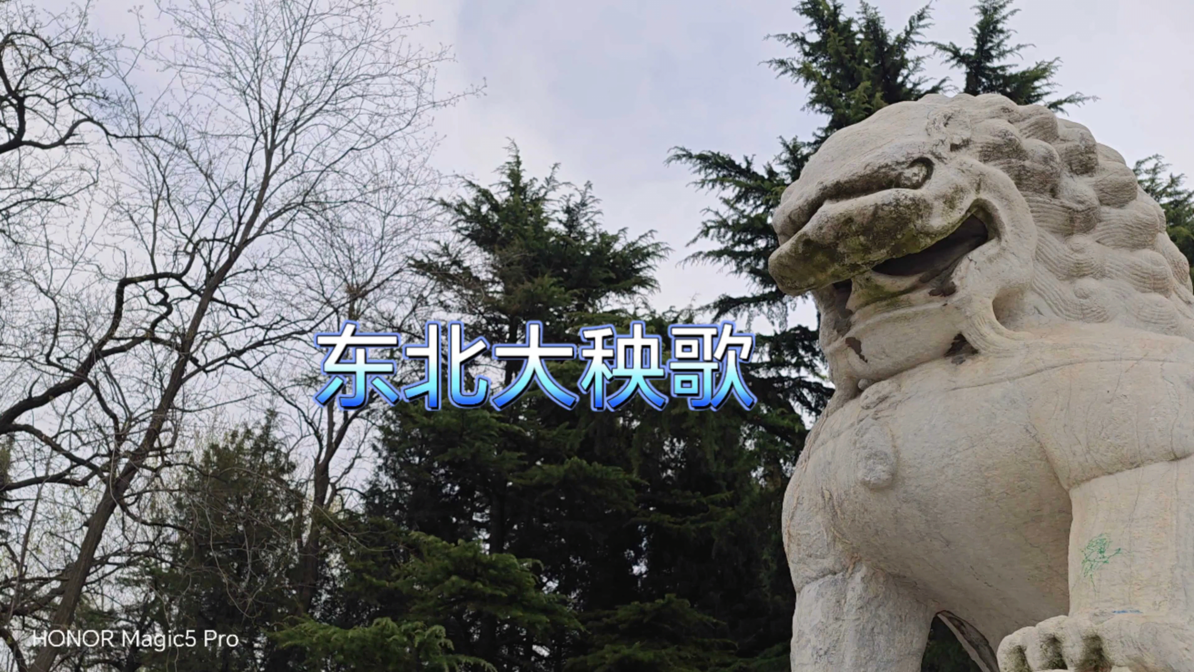 老有所乐之东北大秧歌,爱摄影-荣耀俱乐部