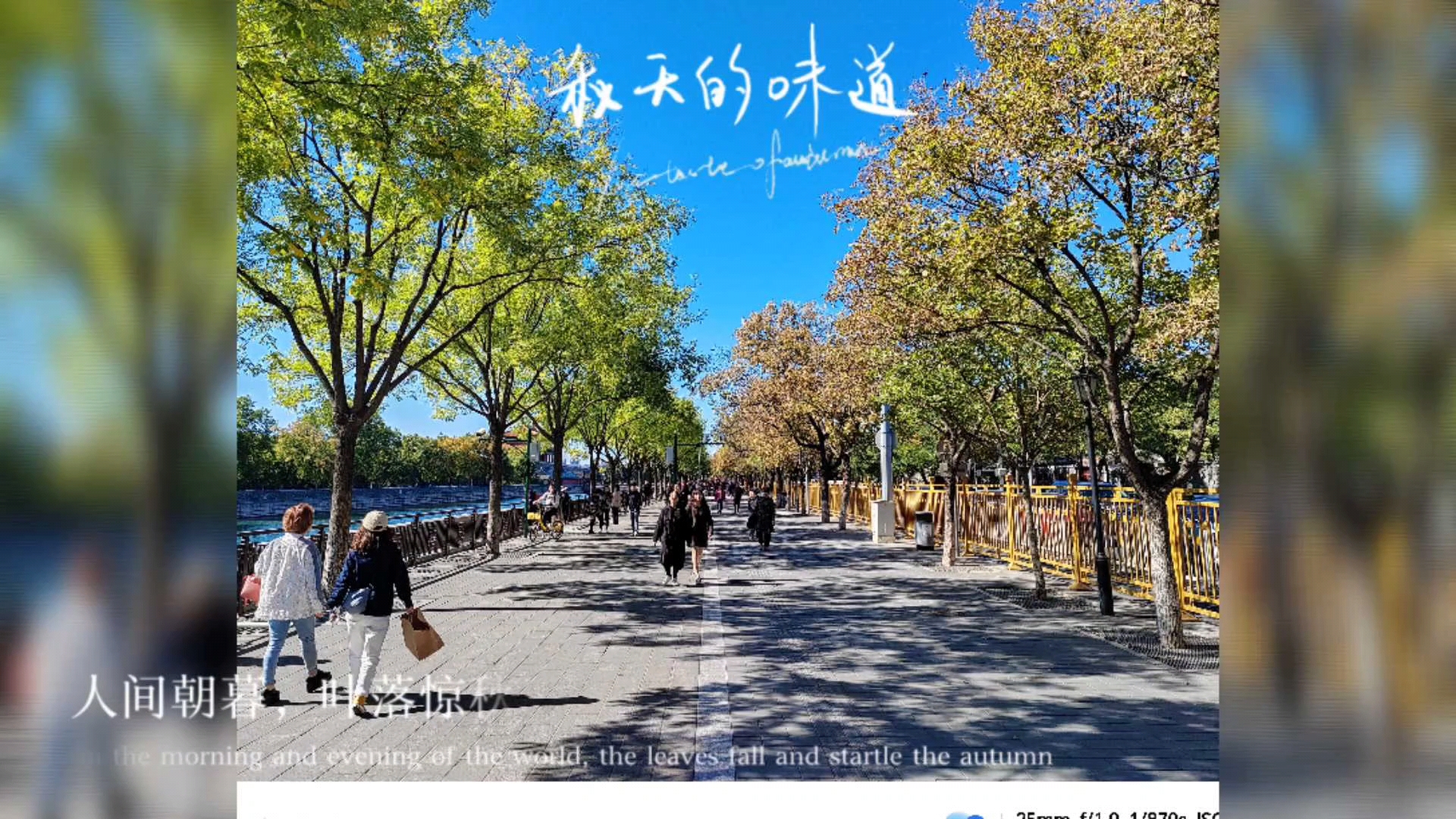 【漫步京城】,荣耀V Purse-荣耀俱乐部