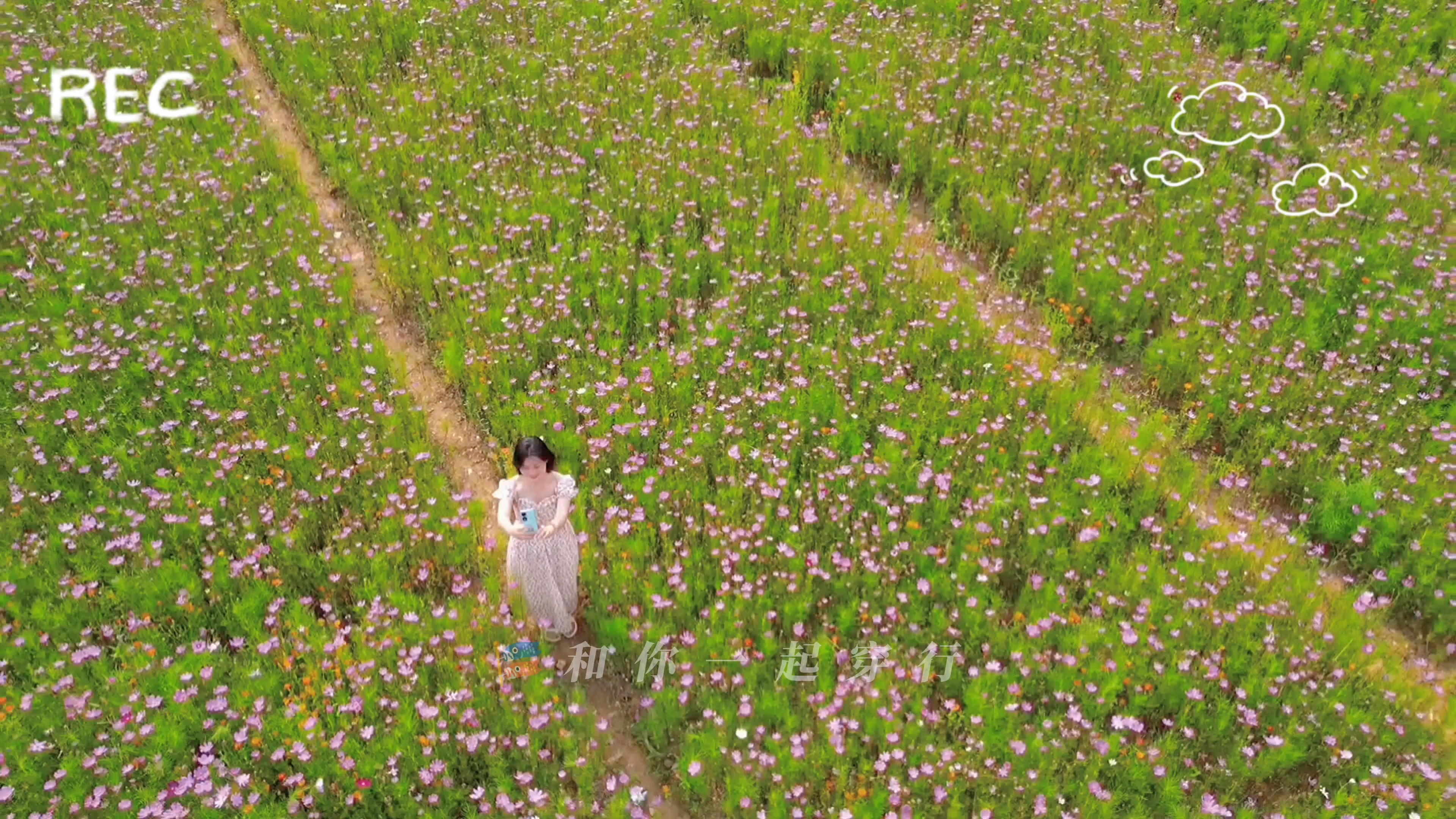【闪耀女生】快带上你的荣耀90来和我一起拍照吧,爱摄影-荣耀俱乐部