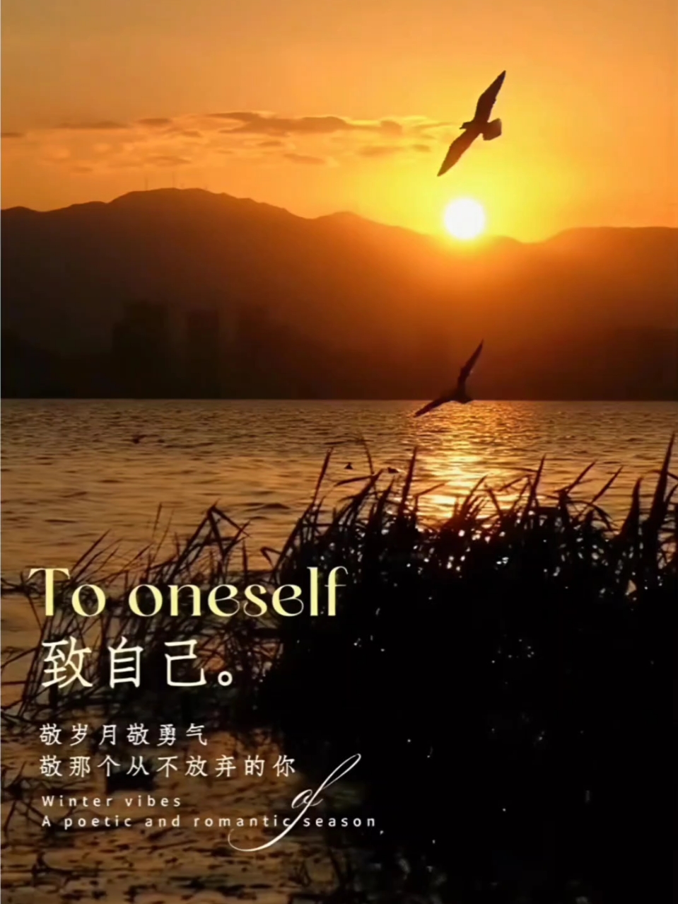 【你好冬天】致岁月致勇气,爱摄影-荣耀俱乐部