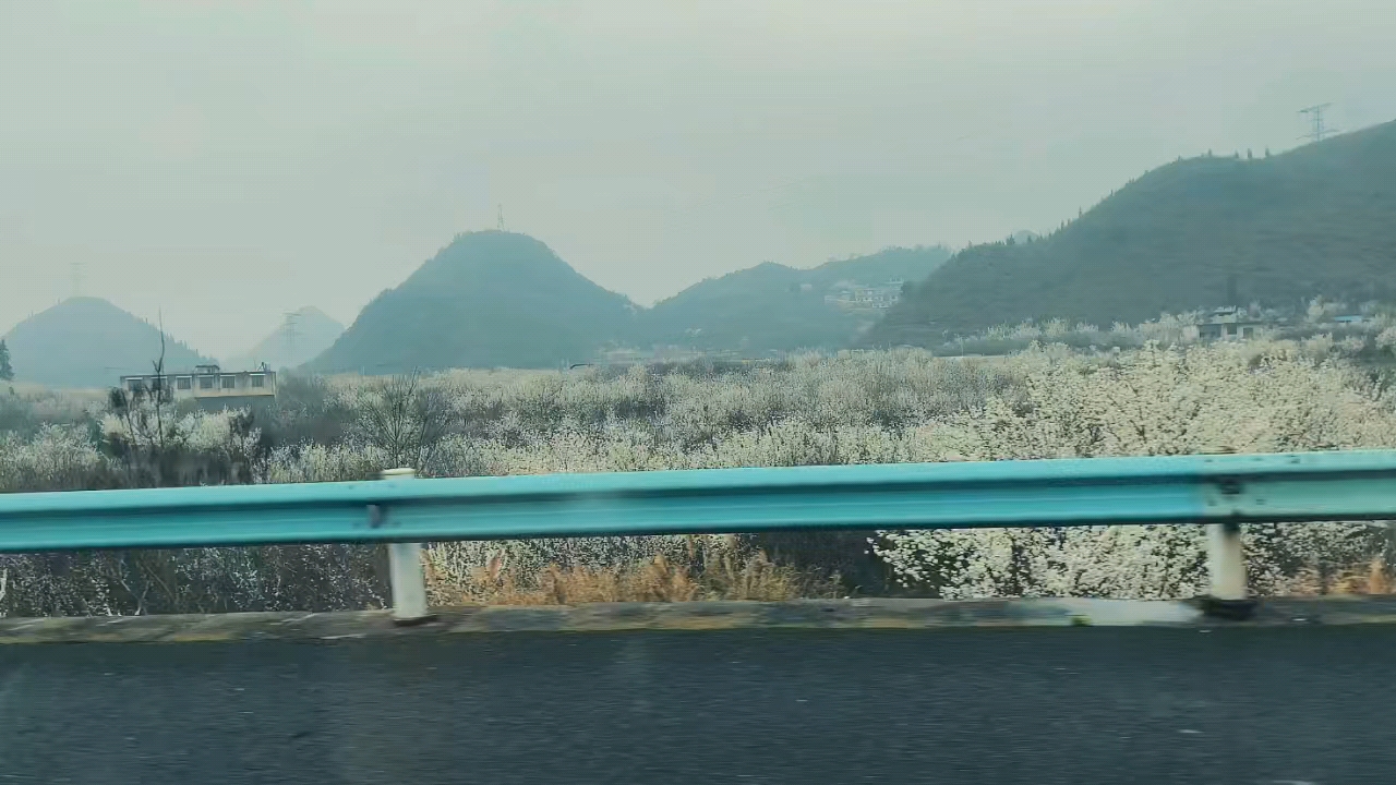 路上春色,爱摄影-荣耀俱乐部